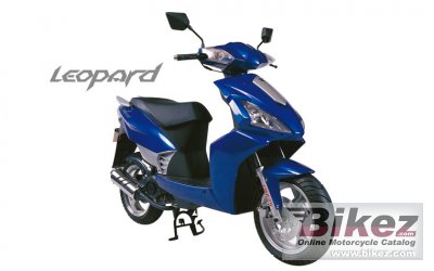 2010 Qingqi Leopard QM50T-8G photo